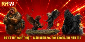 Đá Gà Tre Nghệ Thuật - Mãn Nhãn 50+ Đòn Knock-Out Siêu Tốc